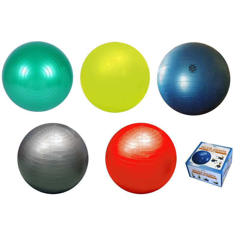 Material deportivo para educacion fisica. lote de 5 pelotas fit-ball o fitnessball, pelota habitual de espacios como gimnasios, salas de yoga o rehabilitación. Está disponible en 5 diámetros: 55 / 65 / 75 / 85 / 100 cm.