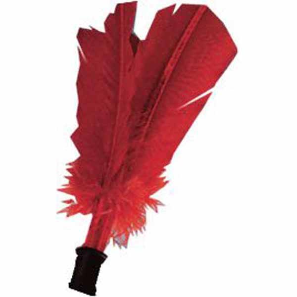 recambio-indiaca-alemana